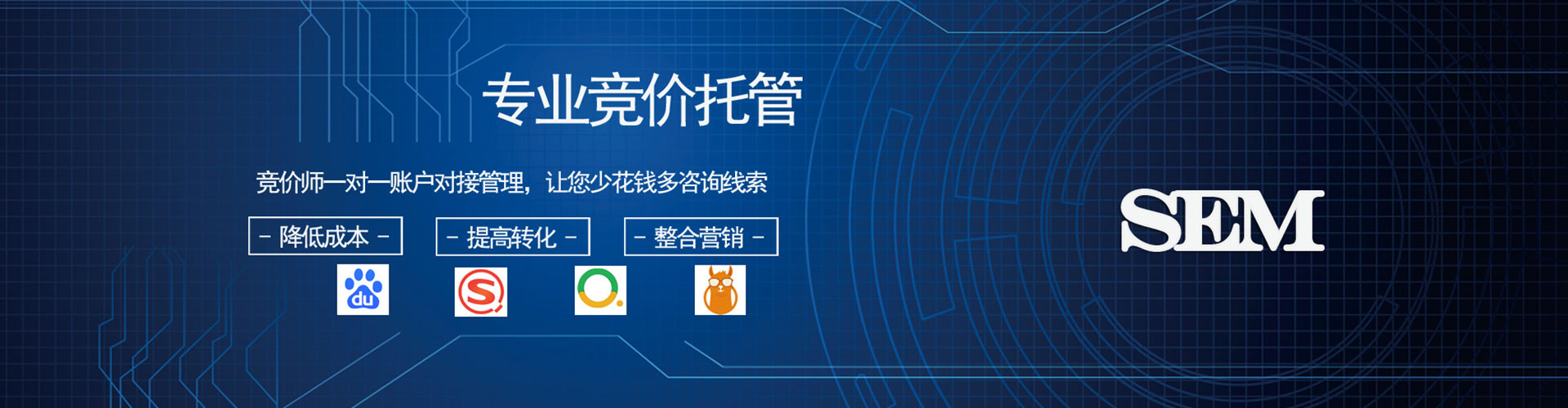 大雅sem运营