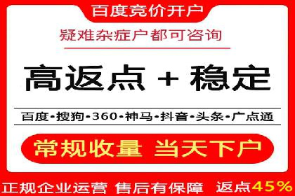 竞价排名案例：优化广告预算分配